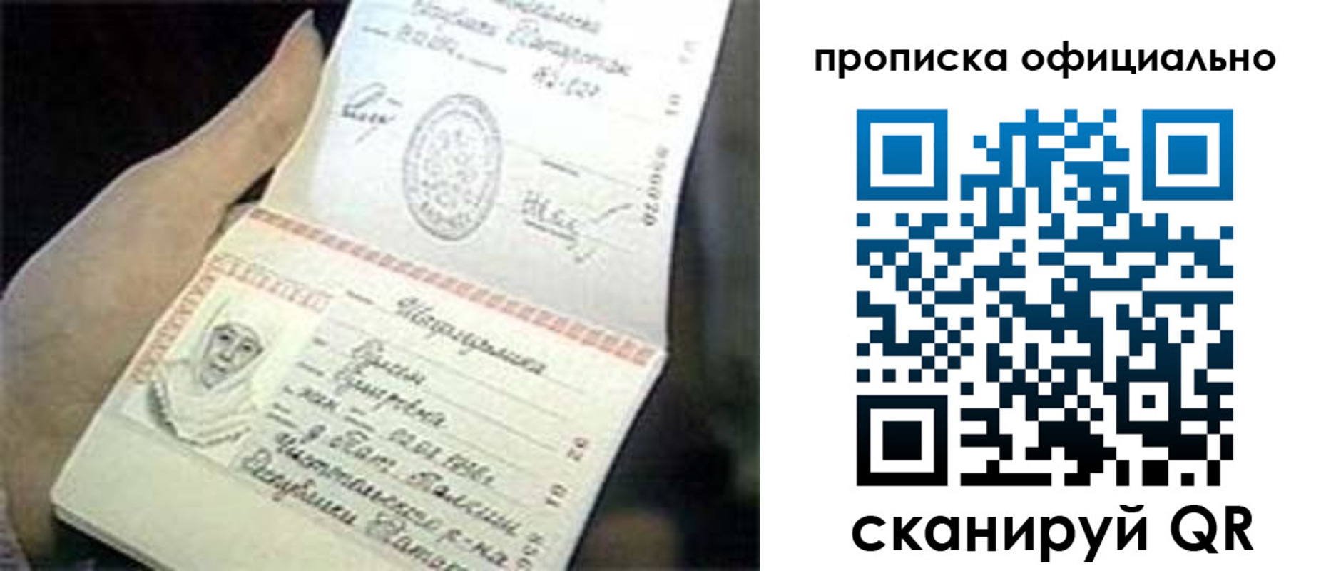 прописка поиск в Курске