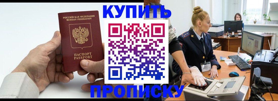 временная регистрация поиск в Курске